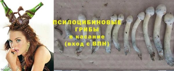 марки nbome Белокуриха