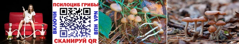 Псилоцибиновые грибы GOLDEN TEACHER  даркнет сайт  Корсаков 